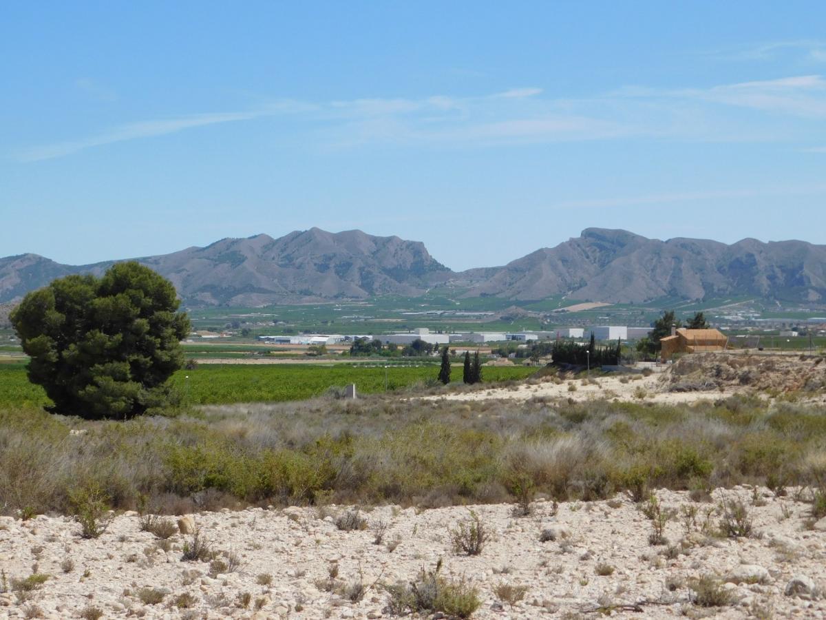 Parcela en Fortuna, Murcia, España No. 183883