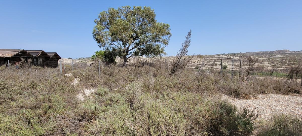 Finca i Torremendo, Alicante, Spanien 4 sovrum, 224 kvm. Nr. 183884