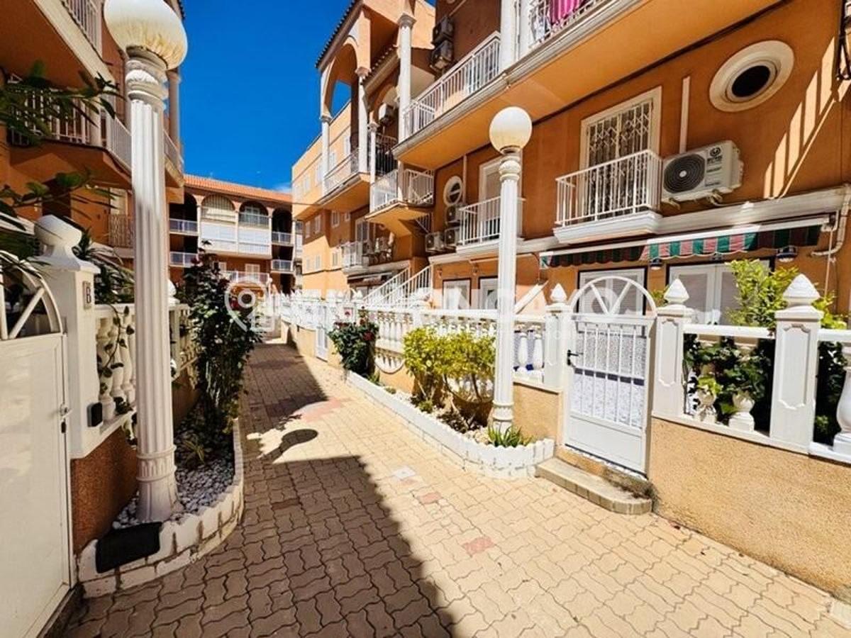 Bungalow à Torrevieja, Alicante, Espagne 2 chambres, 81 m2 No. 148980