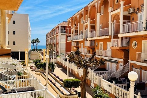 Kamienica w La Mata, Alicante, Hiszpania 2 sypialnie, 75 mkw. nr 148983