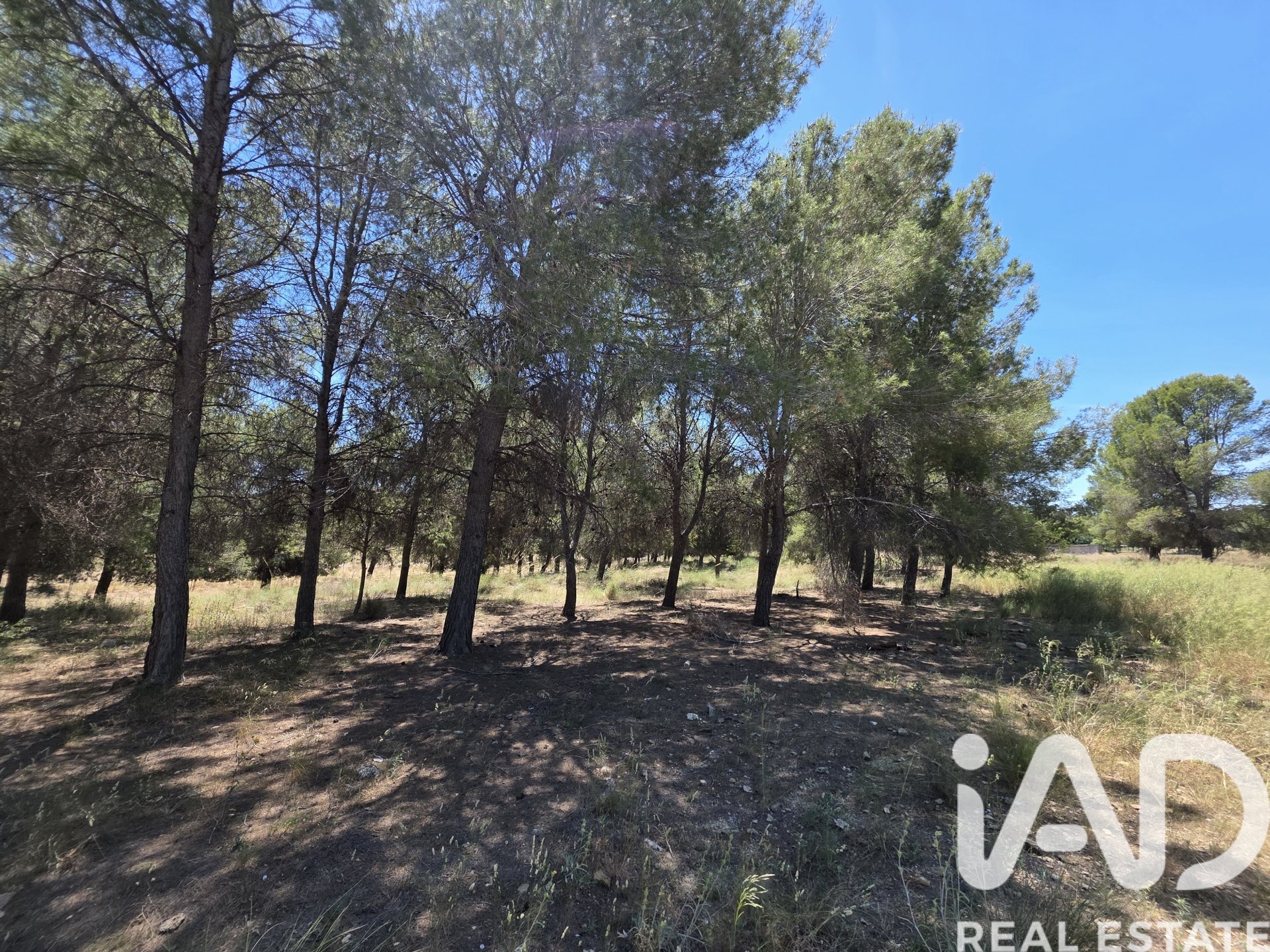 Land in Calasparra, Murcia, Spanien 10400 m2 Nr. 184679