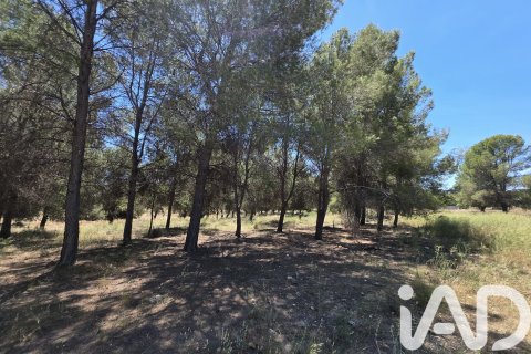 Tontti Calasparra, Murcia, Espanja 10400 m2 No. 184679