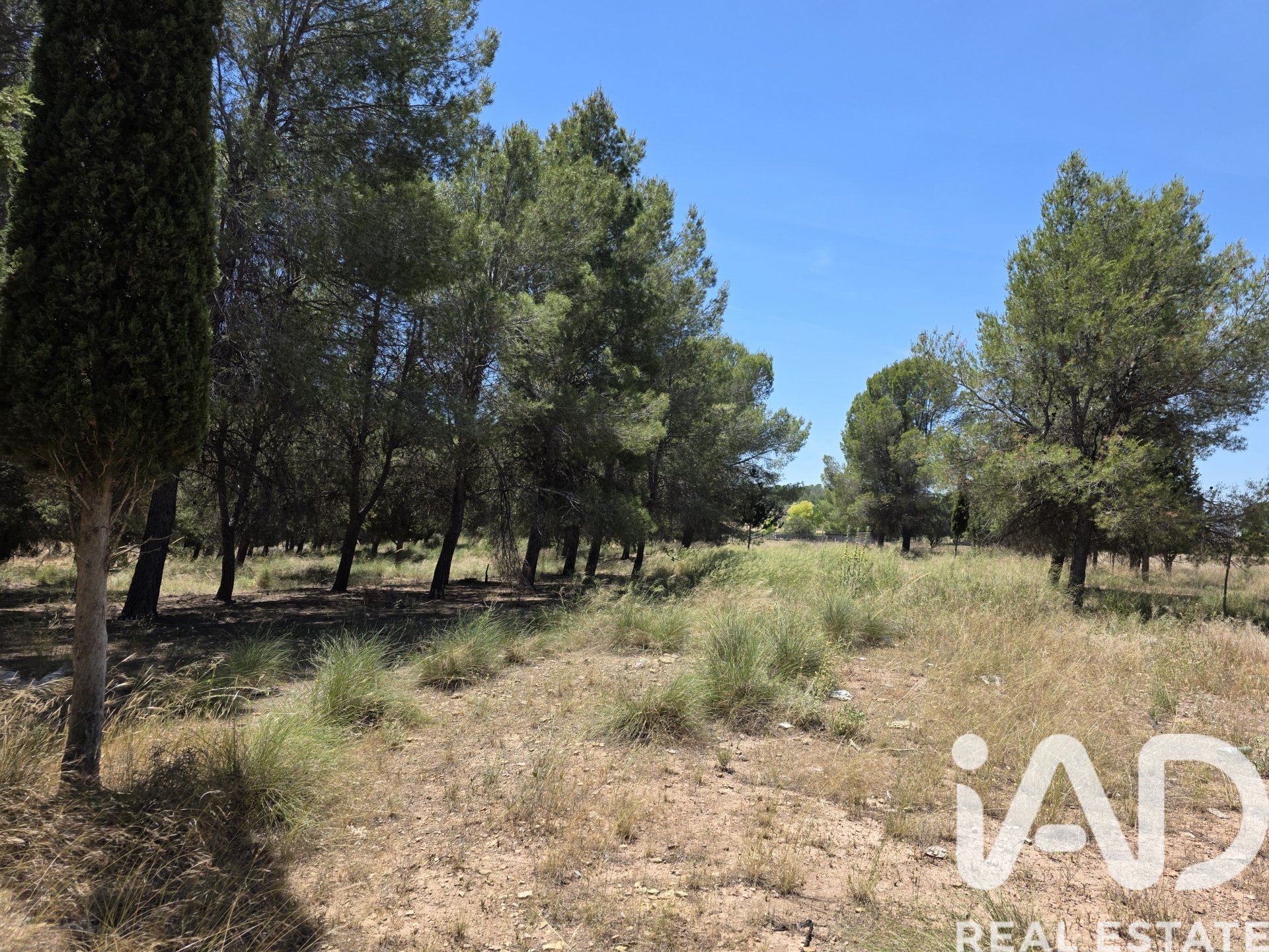 Land in Calasparra, Murcia, Spanien 10400 m2 Nr. 184679