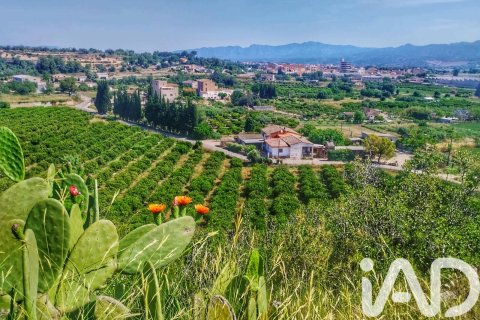 Lokal usługowy w Roquetes, Tarragona, Hiszpania nr 184678