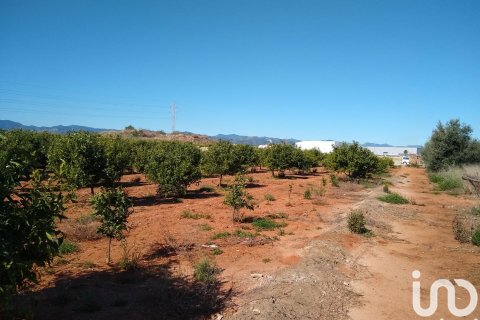 Terreno a Vila-real, Castellon, Spagna 3058 mq. N° 154264