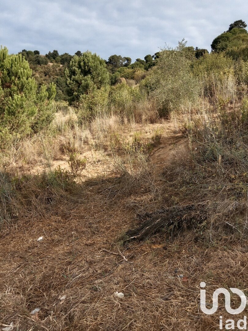 Parcela en Sant Cebrià de Vallalta, Barcelona, España 11000 m2 No. 154263