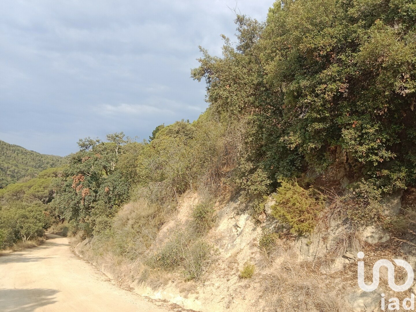 Parcela en Sant Cebrià de Vallalta, Barcelona, España 11000 m2 No. 154263