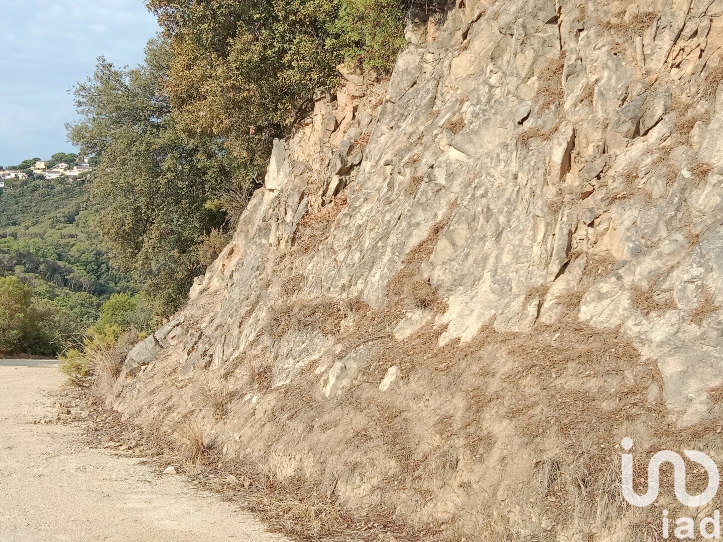 Parcela en Sant Cebrià de Vallalta, Barcelona, España 11000 m2 No. 154263