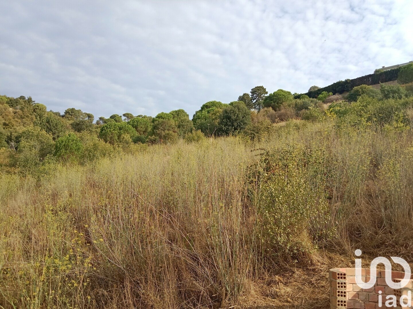 Parcela en Sant Cebrià de Vallalta, Barcelona, España 11000 m2 No. 154263
