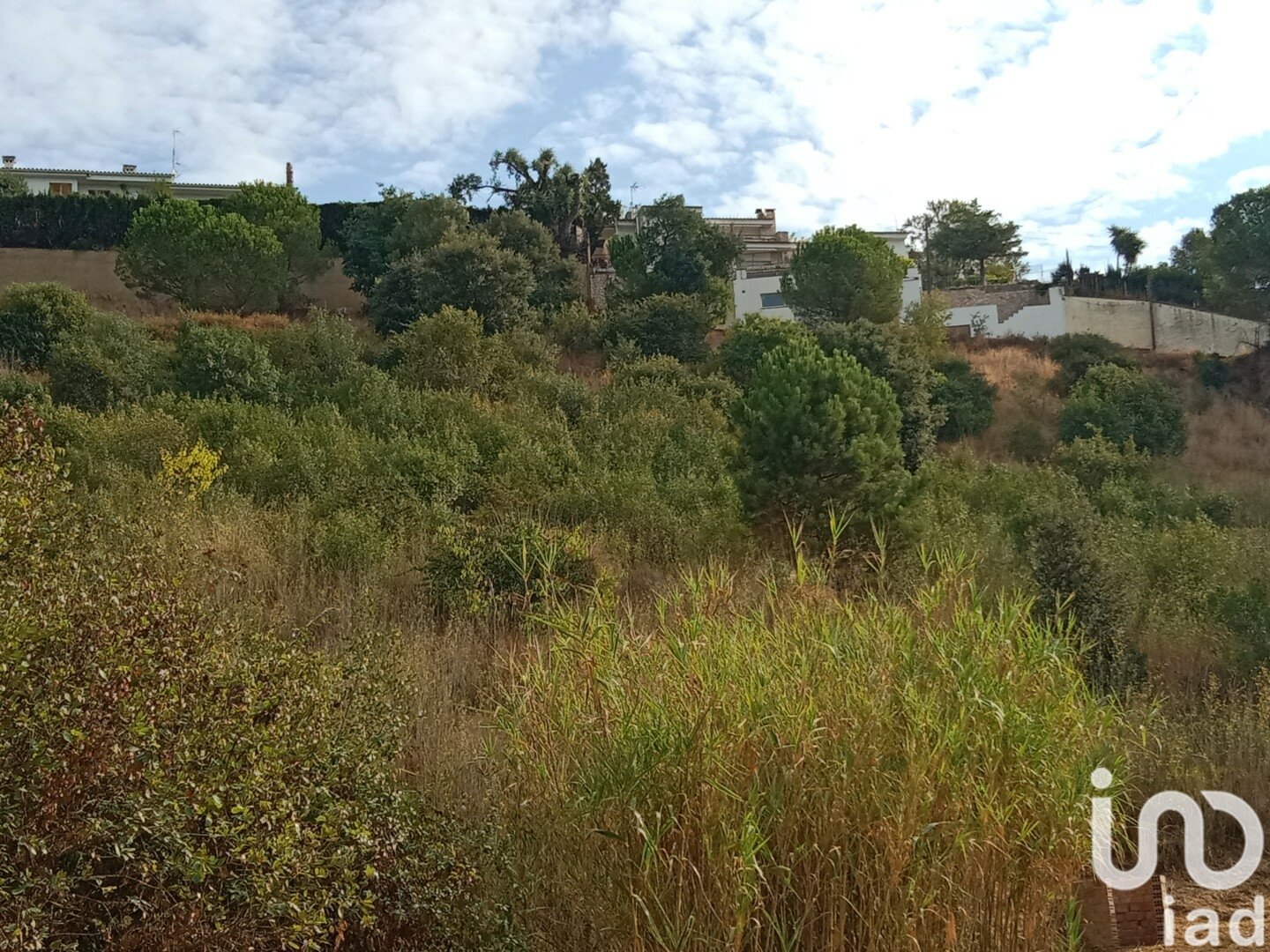 Parcela en Sant Cebrià de Vallalta, Barcelona, España 11000 m2 No. 154263