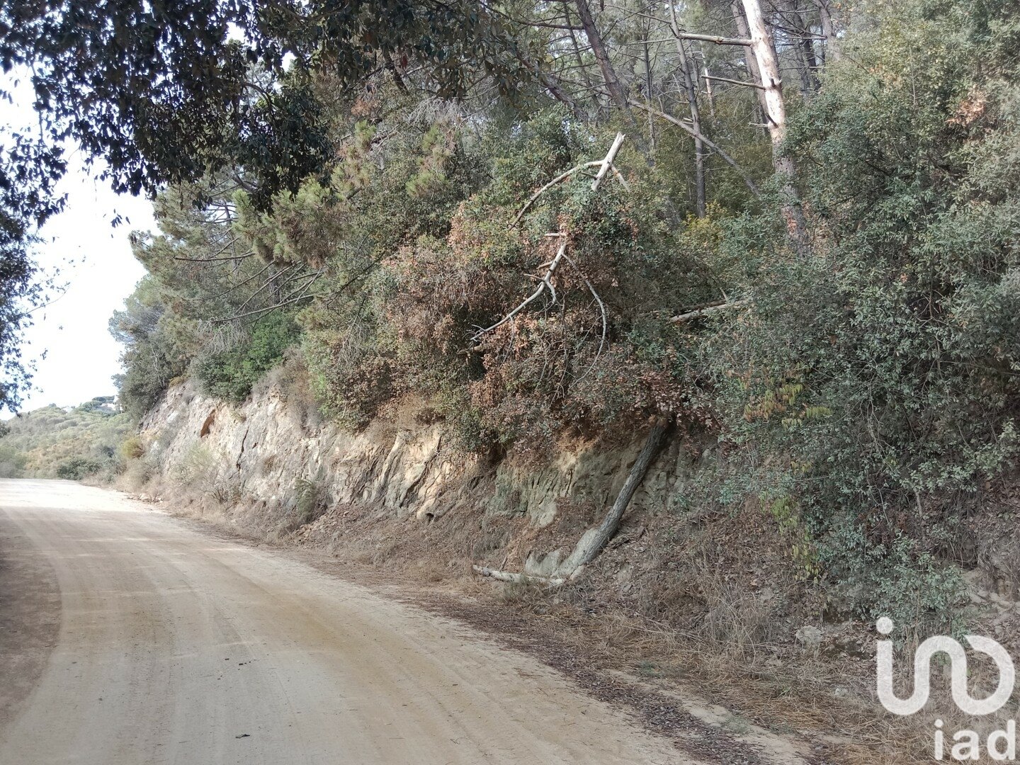 Parcela en Sant Cebrià de Vallalta, Barcelona, España 11000 m2 No. 154263