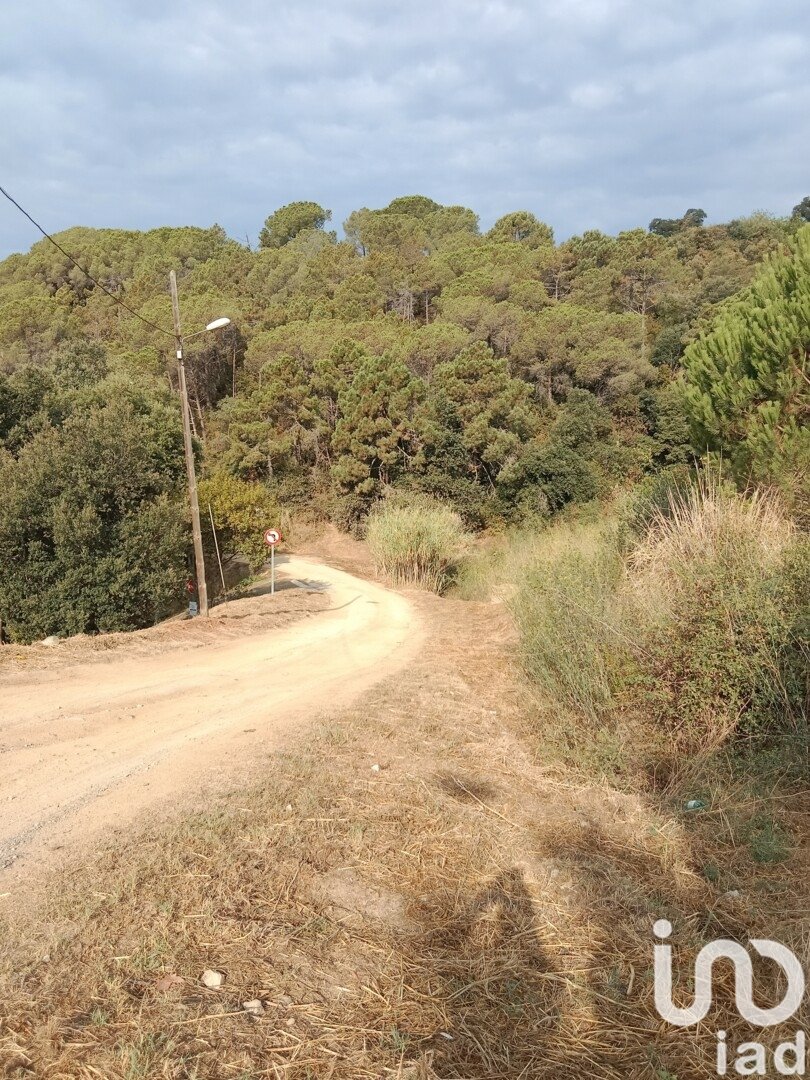 Parcela en Sant Cebrià de Vallalta, Barcelona, España 11000 m2 No. 154263