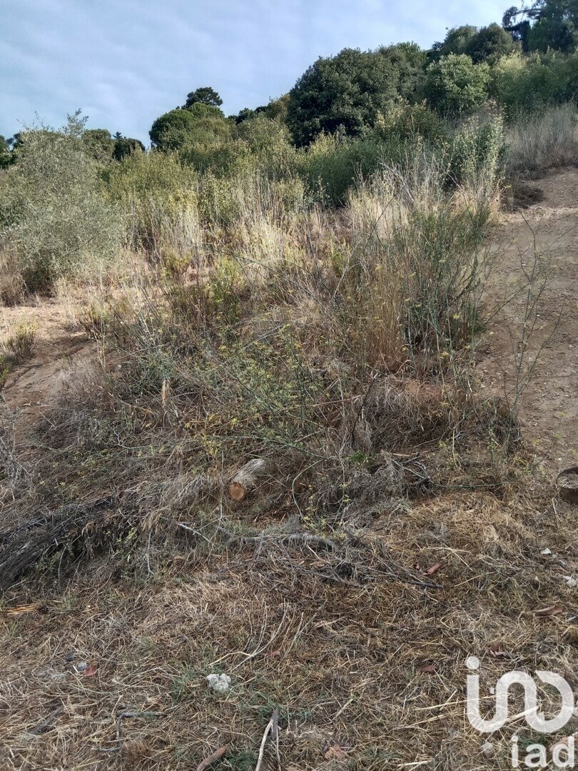 Parcela en Sant Cebrià de Vallalta, Barcelona, España 11000 m2 No. 154263