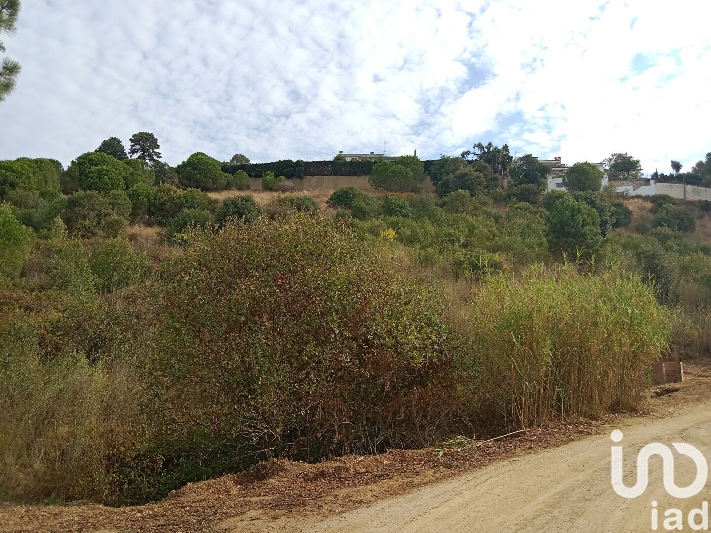 Parcela en Sant Cebrià de Vallalta, Barcelona, España 11000 m2 No. 154263