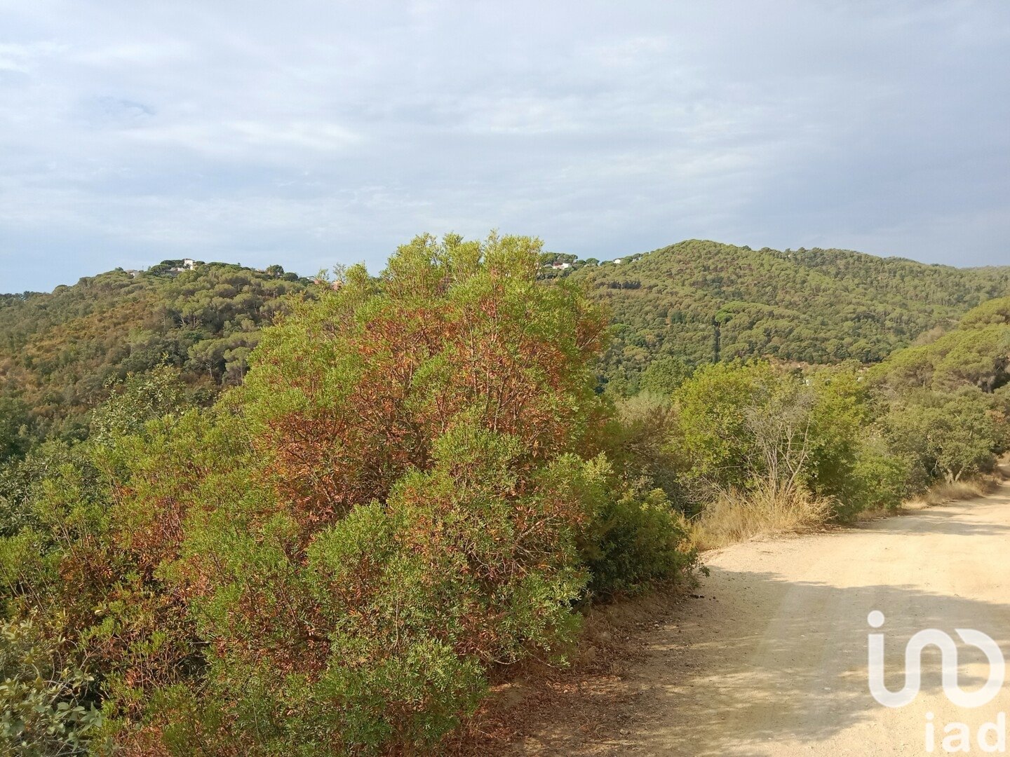 Parcela en Sant Cebrià de Vallalta, Barcelona, España 11000 m2 No. 154263