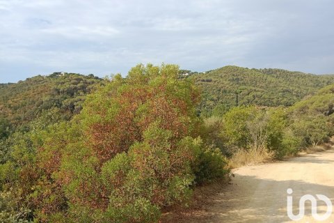 Land plot à Sant Cebria De Vallalta, Barcelona, Espagne 11000 m2 No. 154263