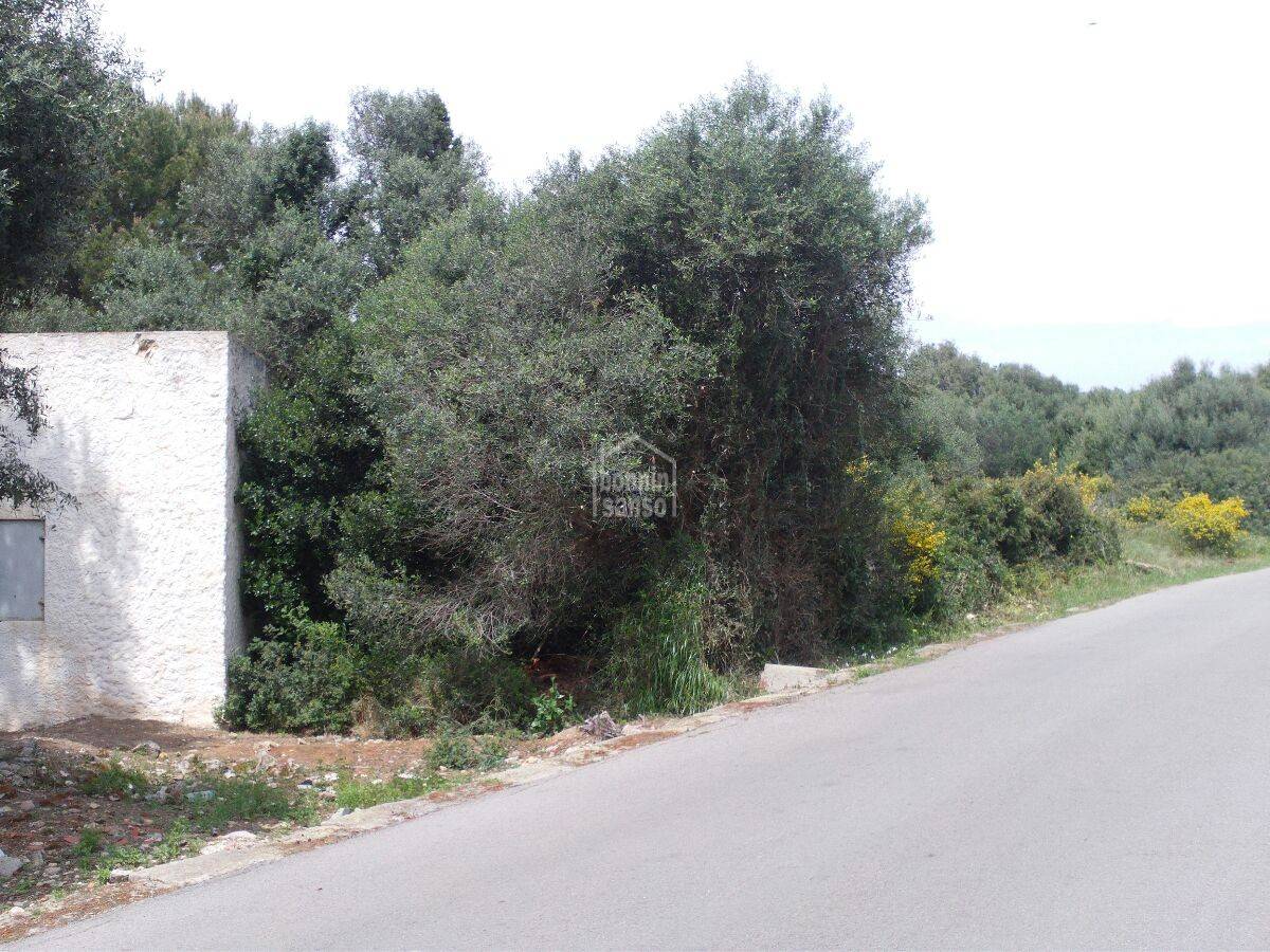 Tontti Binibeca, Menorca, Espanja 355 m2 No. 168640