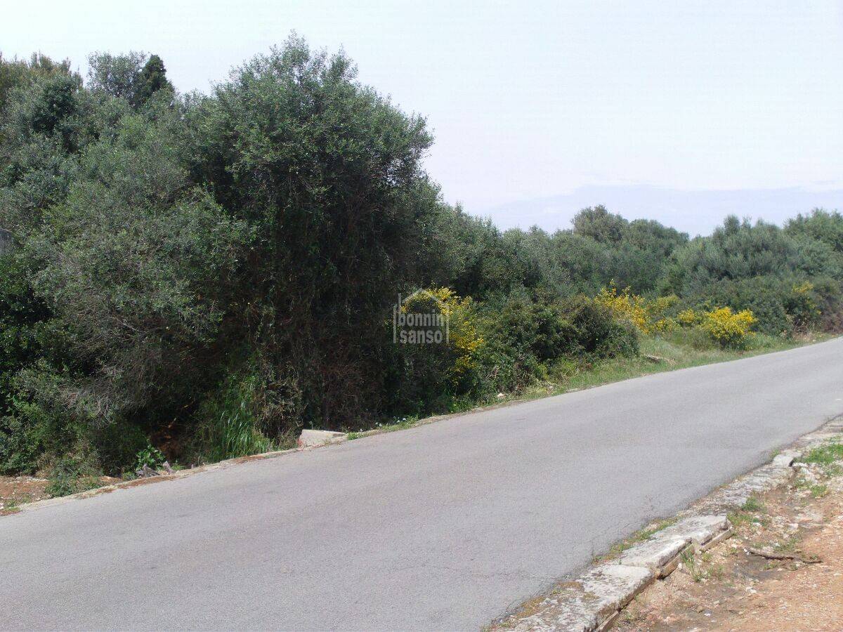 Tontti Binibeca, Menorca, Espanja 355 m2 No. 168640