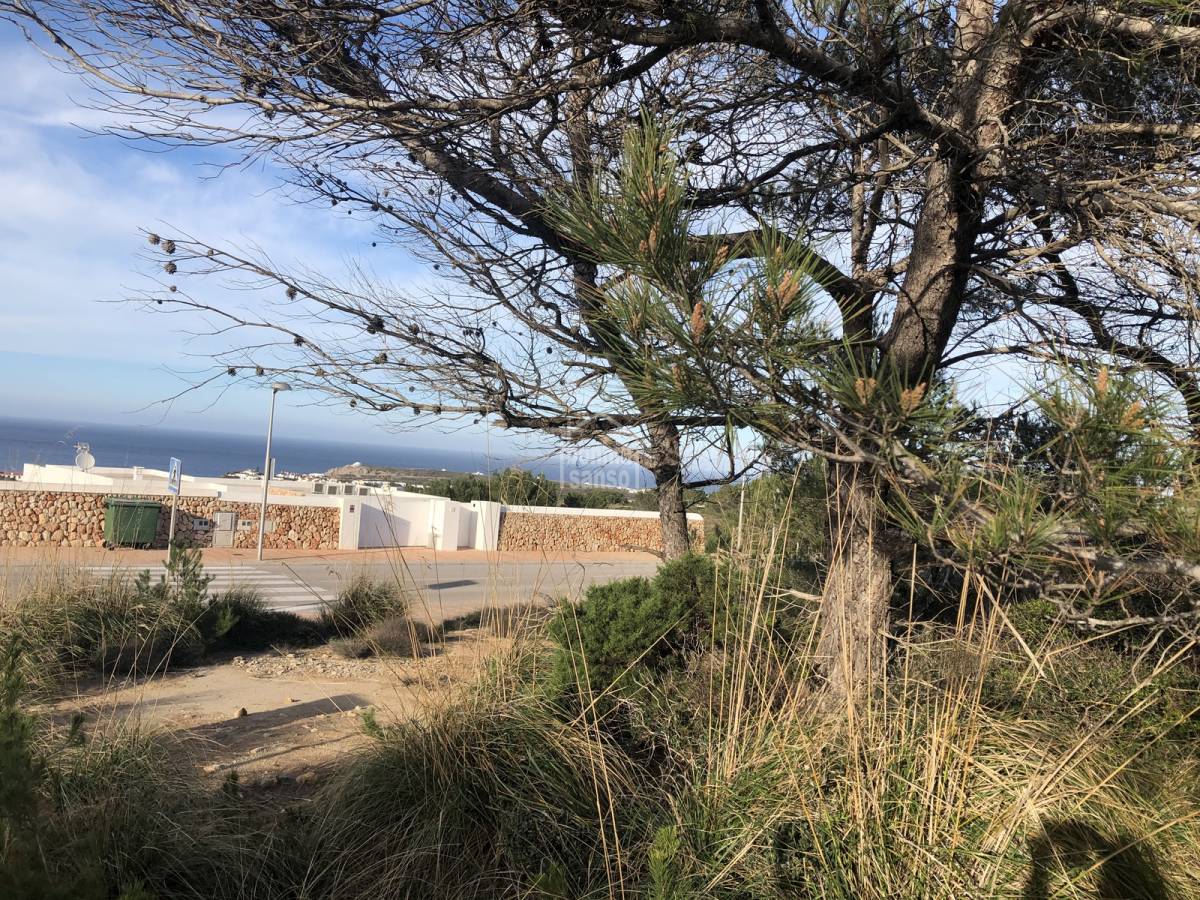 Terreno a Es Mercadal, Menorca, Spagna N° 65298