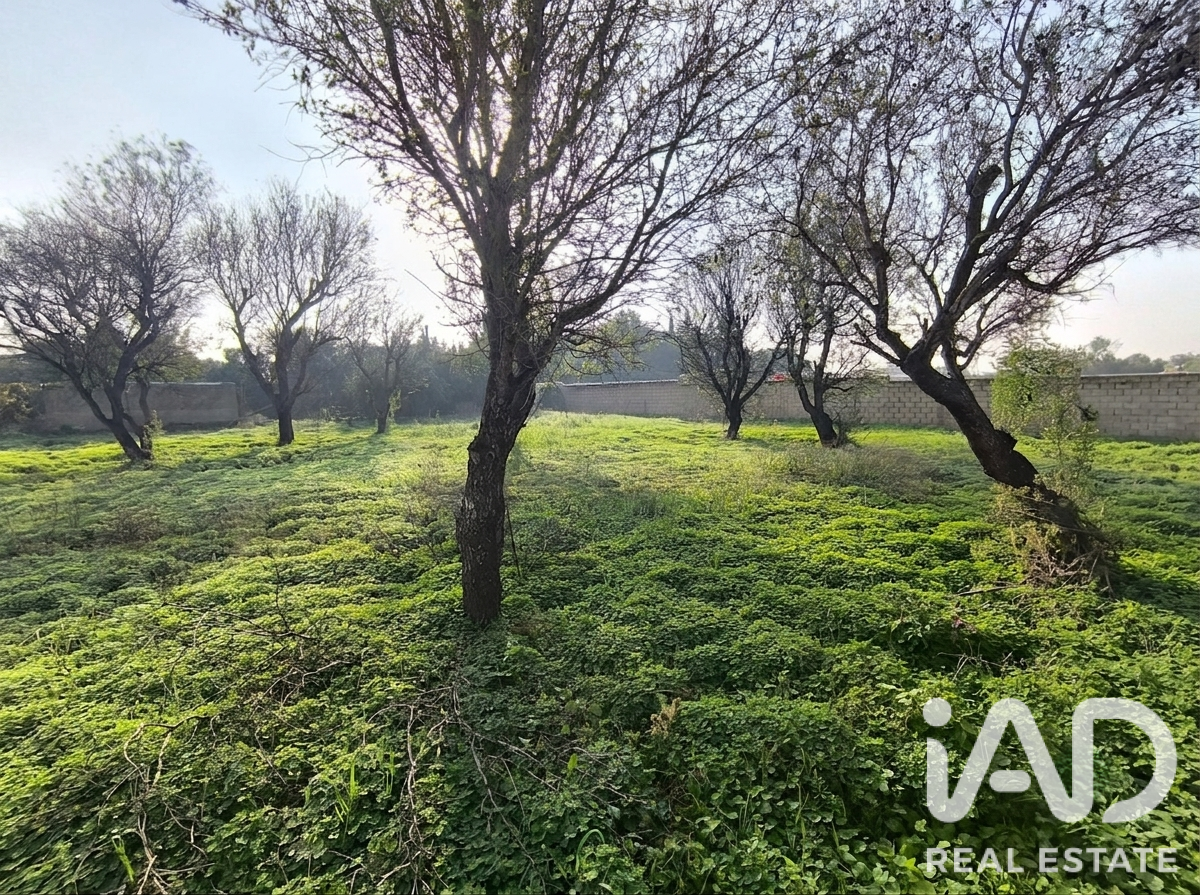Land plot in Chiclana de la Frontera, Cadiz, Spain 947 sq.m. No. 187554