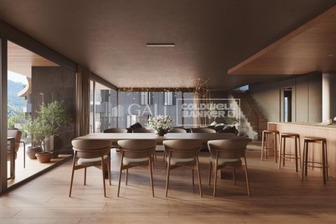 Duplex in Principado De Andorra (Ninguna Poblacion Tiene C.P.), Lleida, Spanien 4 Schlafzimmer, 241 m2 Nr. 156958