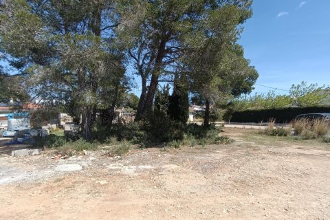 Land plot à L'Ametlla de Mar, Tarragona, Espagne 803 m2 No. 185019