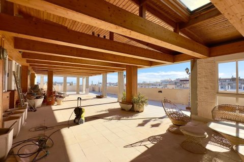 Kattohuoneisto Torrevieja, Alicante, Espanja 2 makuuhuonetta, 195 m2 No. 165836