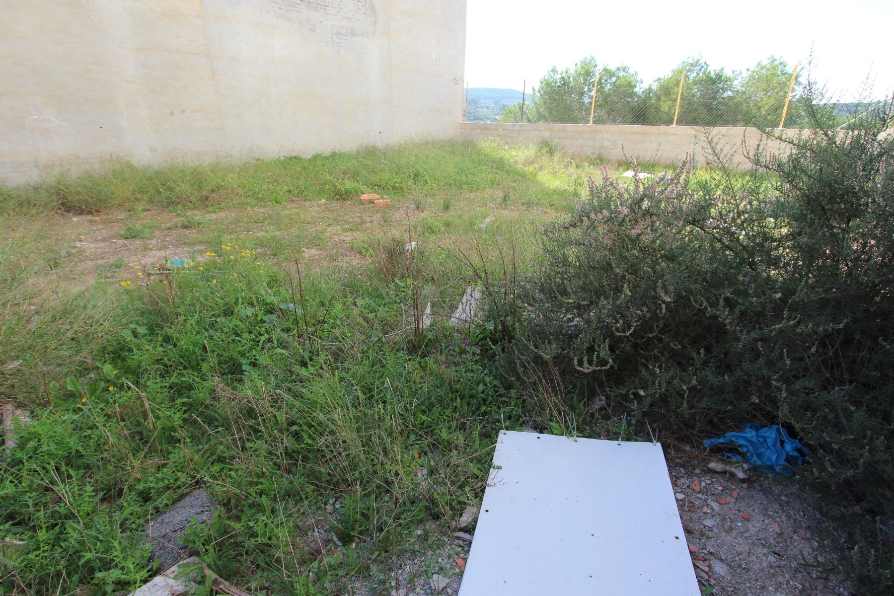Land plot in Guardamar del Segura, Alicante, Spain No. 80220