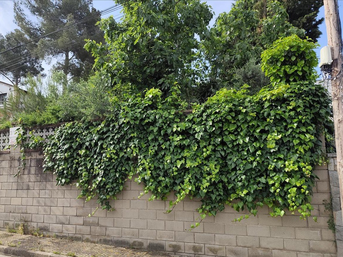 Land plot in Piera, Barcelona, Spain No. 195298