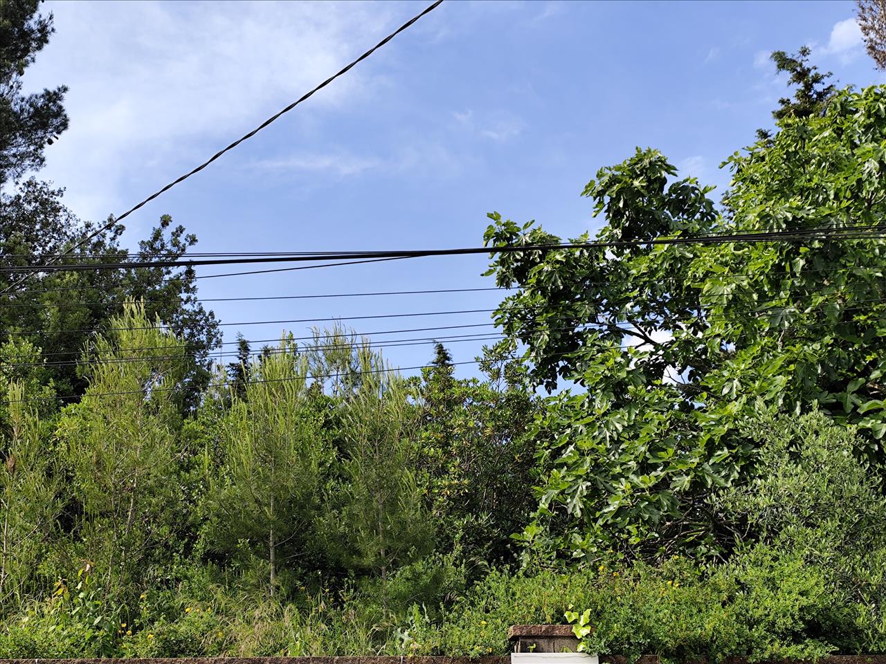 Land plot in Piera, Barcelona, Spain No. 195298