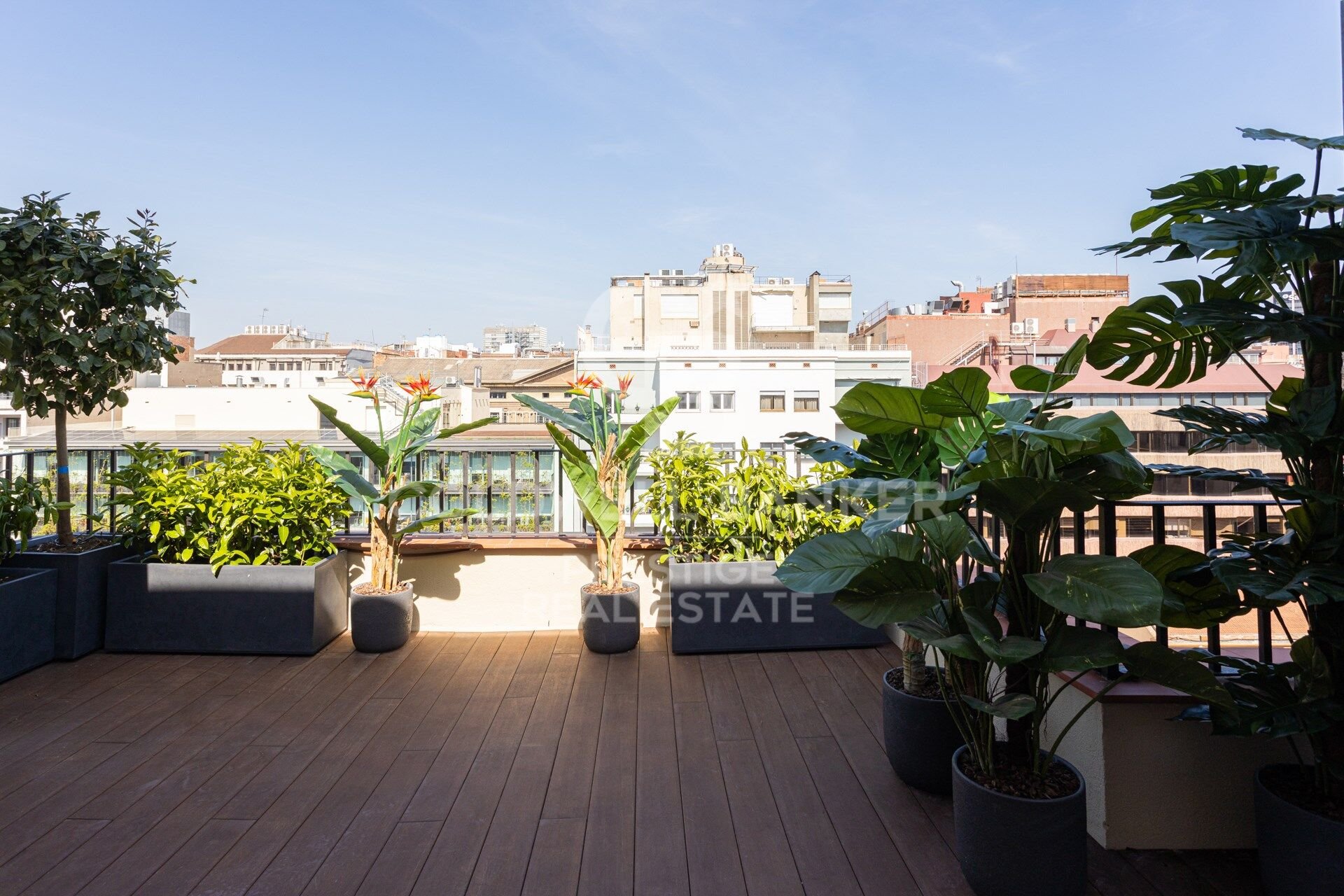 Penthouse in Barcelona, Spain 4 bedrooms, 268 sq.m. No. 159949
