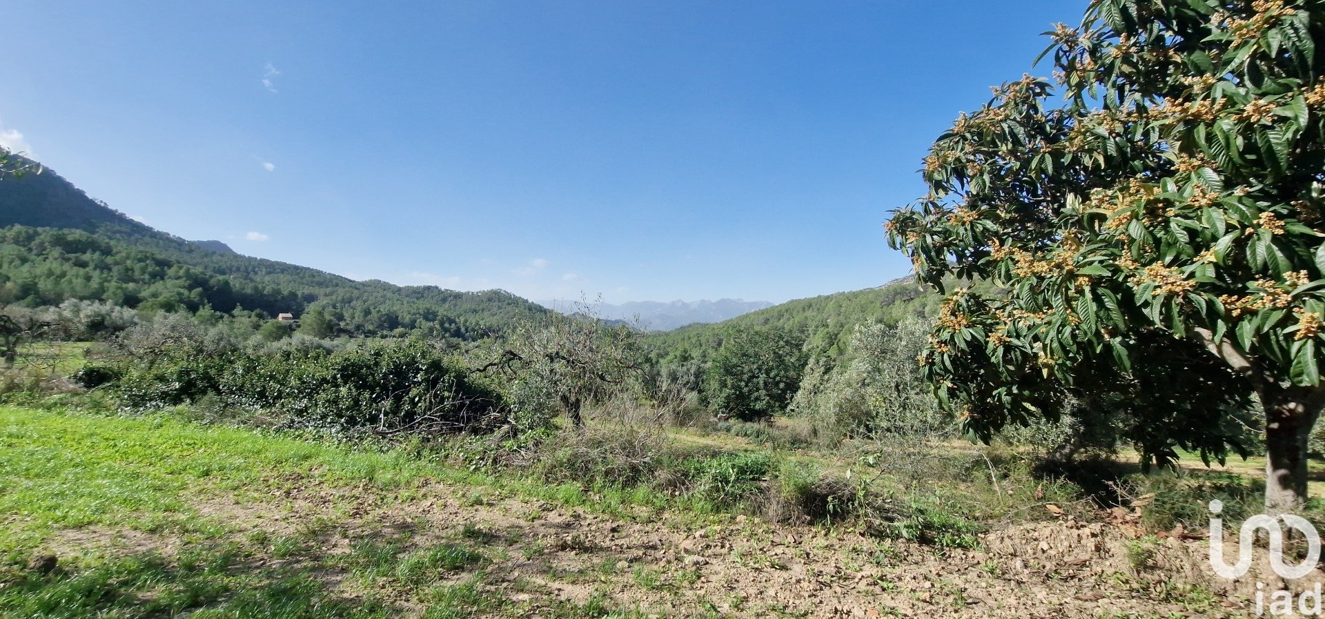 Land in Rasquera, Tarragona, Spanien 38548 m2 Nr. 185571