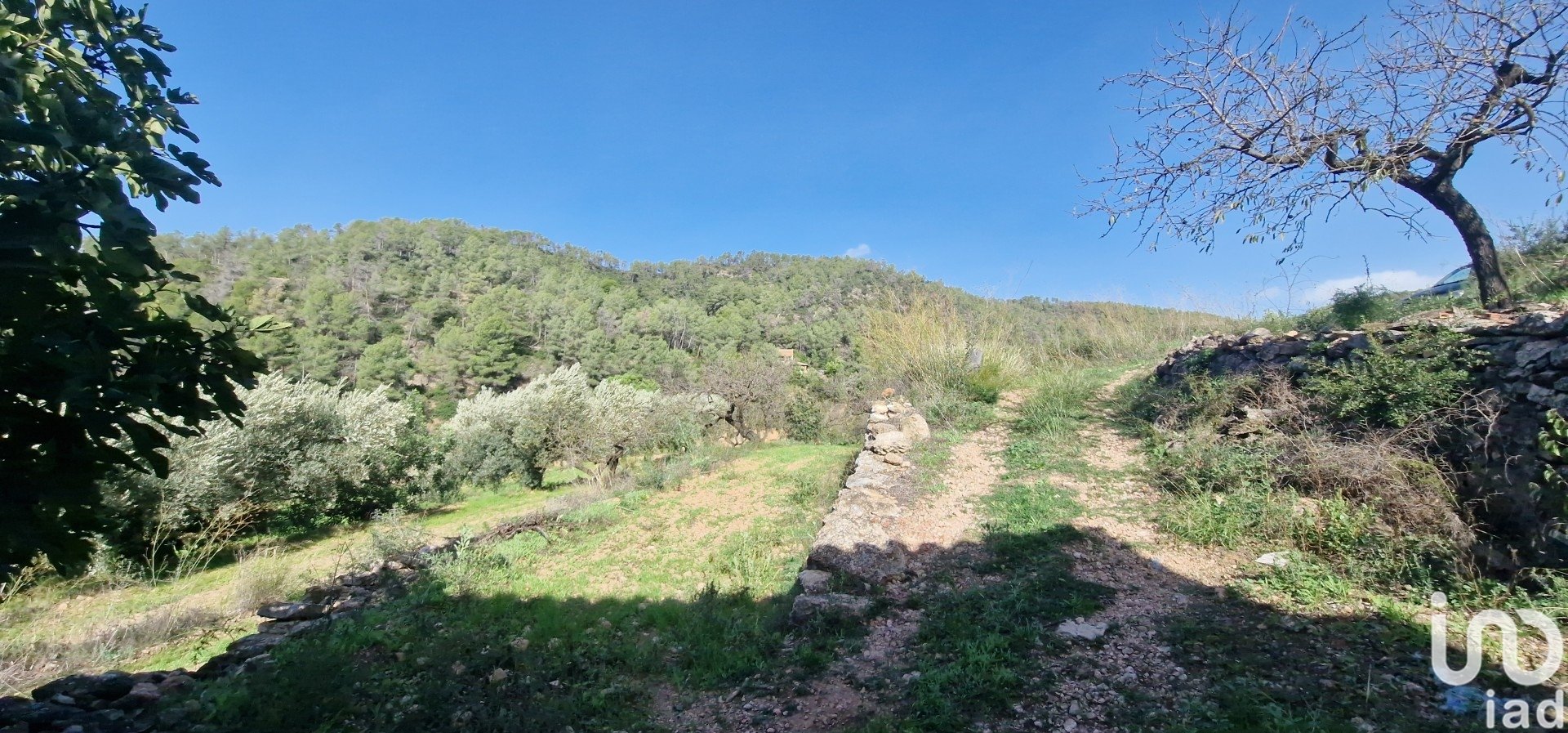 Land in Rasquera, Tarragona, Spanien 38548 m2 Nr. 185571