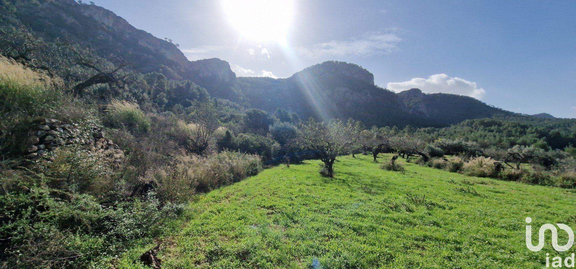 Land in Rasquera, Tarragona, Spanien 38548 m2 Nr. 185571