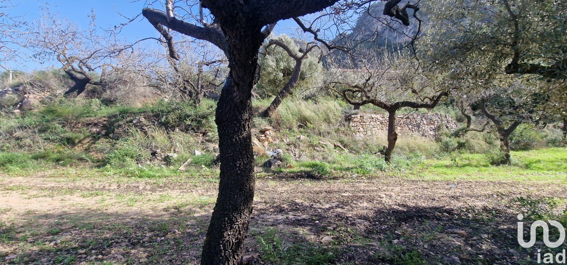 Land in Rasquera, Tarragona, Spanien 38548 m2 Nr. 185571