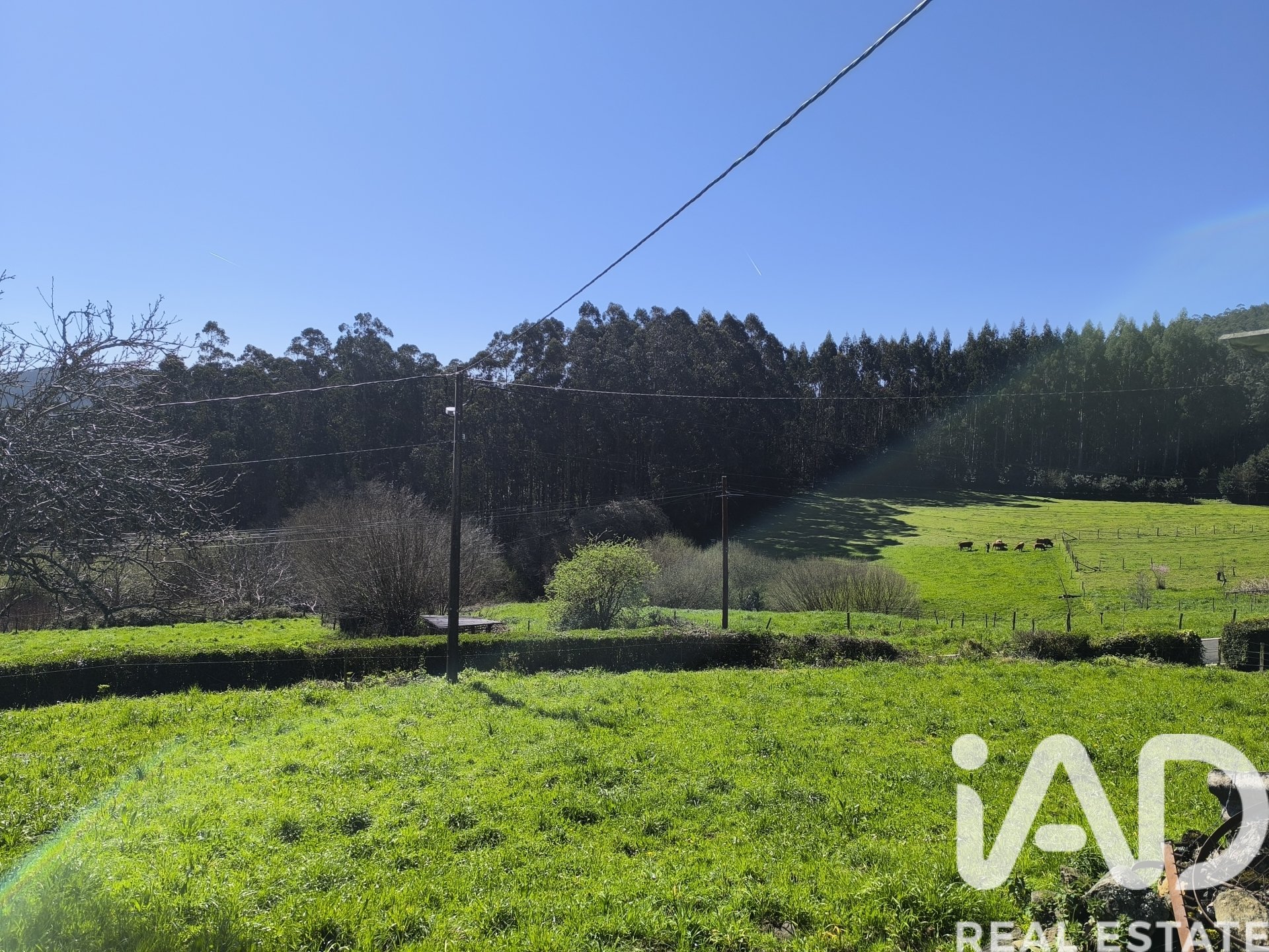 Rindu māja Cedeira, A Coruna, Spānijā 144 m2 Nr. 185094