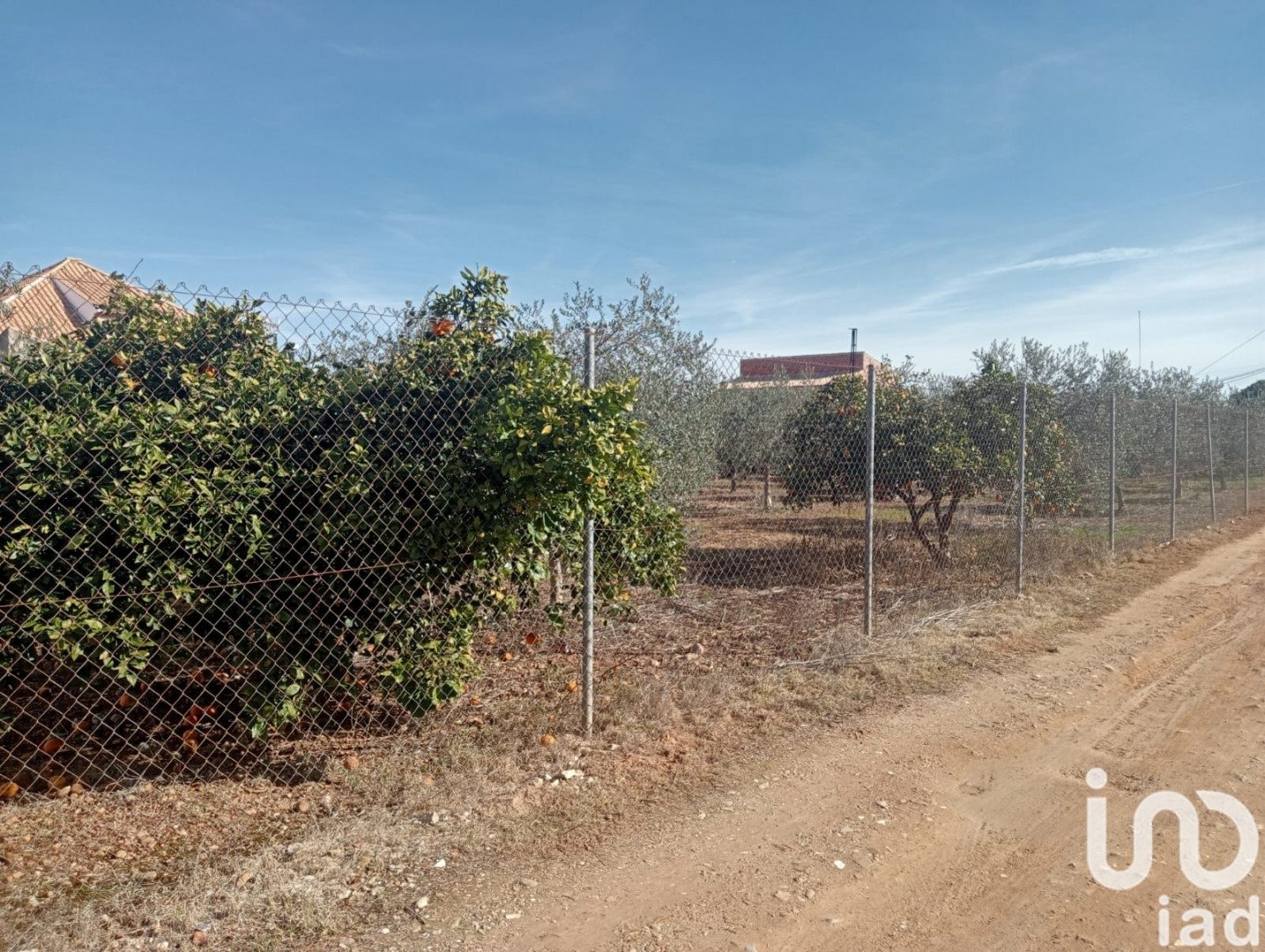 Land in Canada Rosal, Seville, Spanien 1200 m2 Nr. 185997