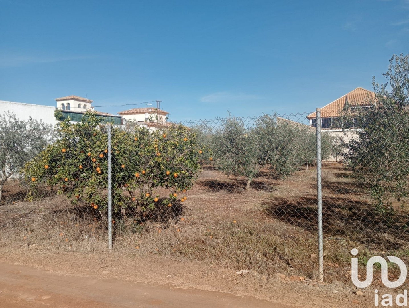 Land in Canada Rosal, Seville, Spanien 1200 m2 Nr. 185997