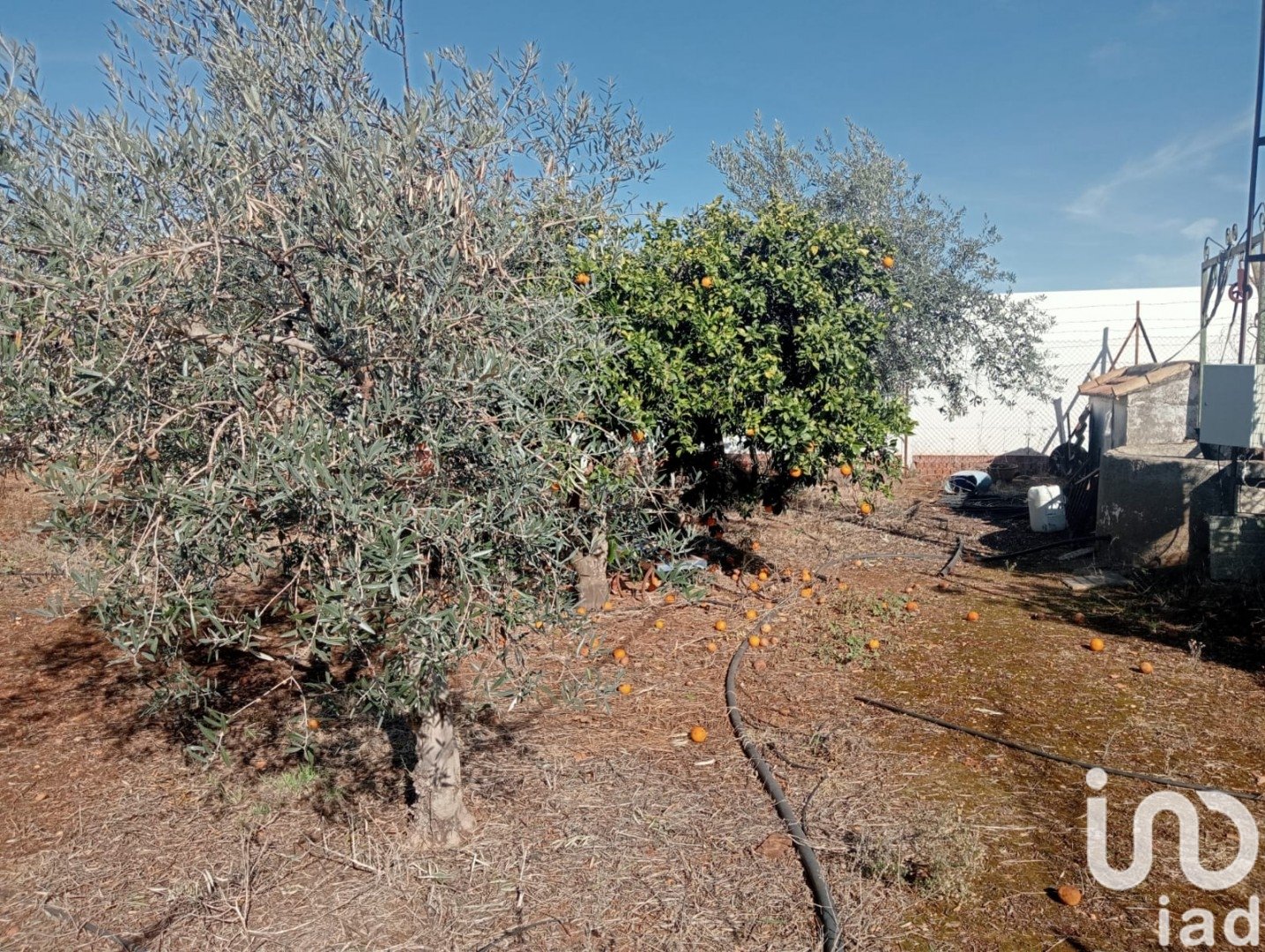 Land in Canada Rosal, Seville, Spanien 1200 m2 Nr. 185997