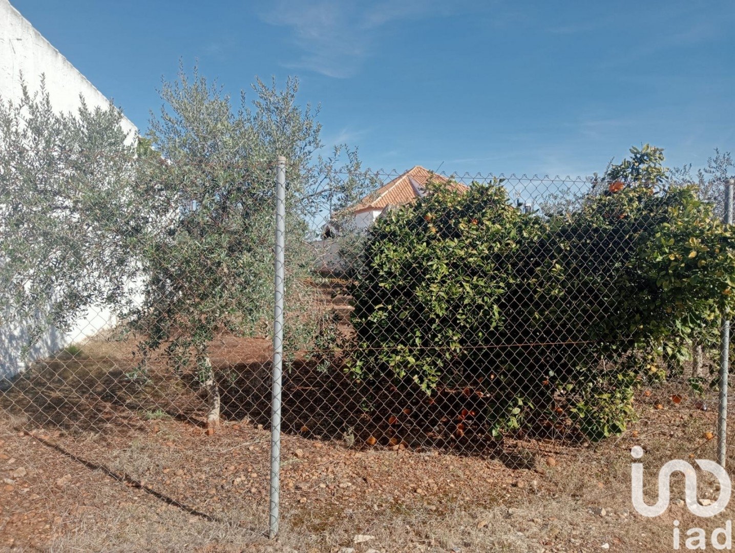 Land in Canada Rosal, Seville, Spanien 1200 m2 Nr. 185997