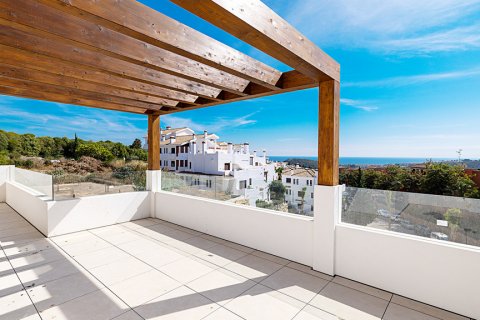 Penthouse in Malaga, Spain 3 bedrooms, 162.2 sq.m. No. 101678
