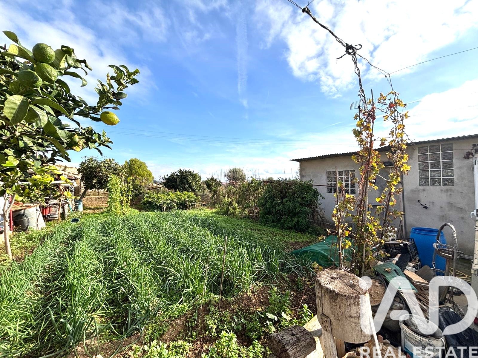 Land plot in Sant Jaume dels Domenys, Tarragona, Spain 400 sq.m. No. 185511