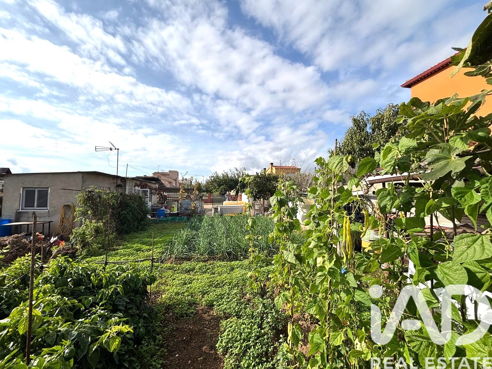 Land plot in Sant Jaume dels Domenys, Tarragona, Spain 400 sq.m. No. 185511