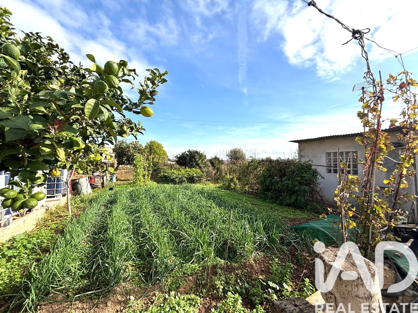 Land plot in Sant Jaume dels Domenys, Tarragona, Spain 400 sq.m. No. 185511
