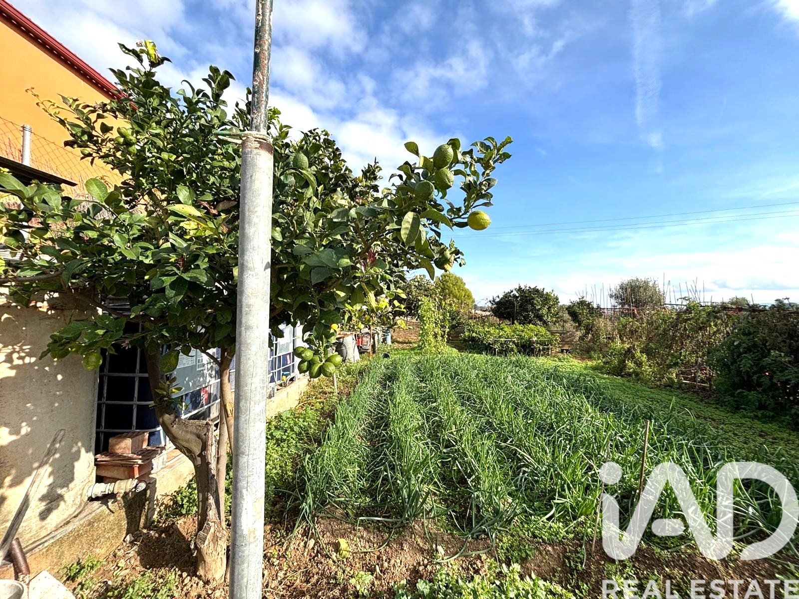 Land plot in Sant Jaume dels Domenys, Tarragona, Spain 400 sq.m. No. 185511