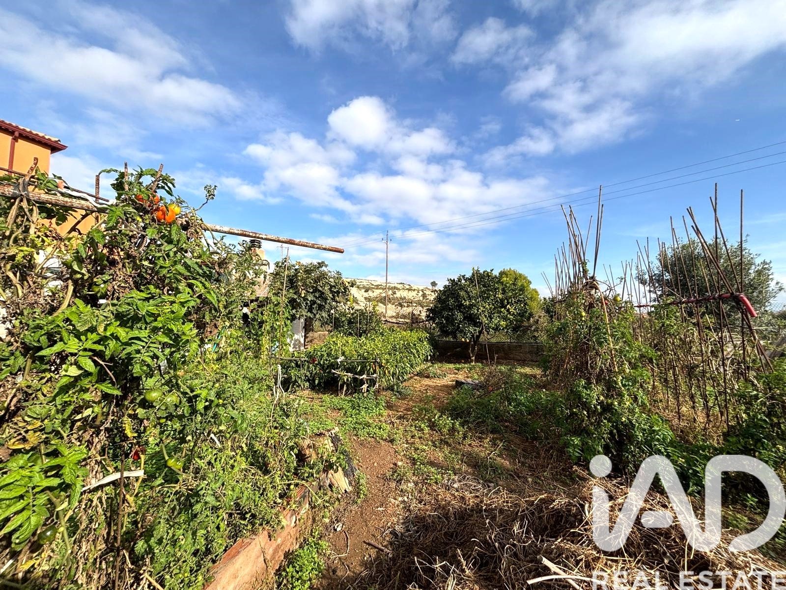 Land plot in Sant Jaume dels Domenys, Tarragona, Spain 400 sq.m. No. 185511
