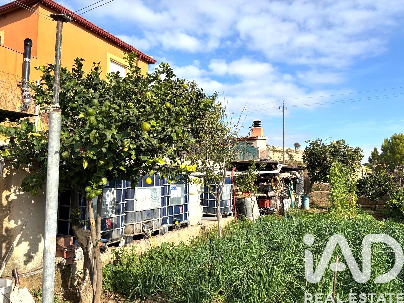 Land plot in Sant Jaume dels Domenys, Tarragona, Spain 400 sq.m. No. 185511
