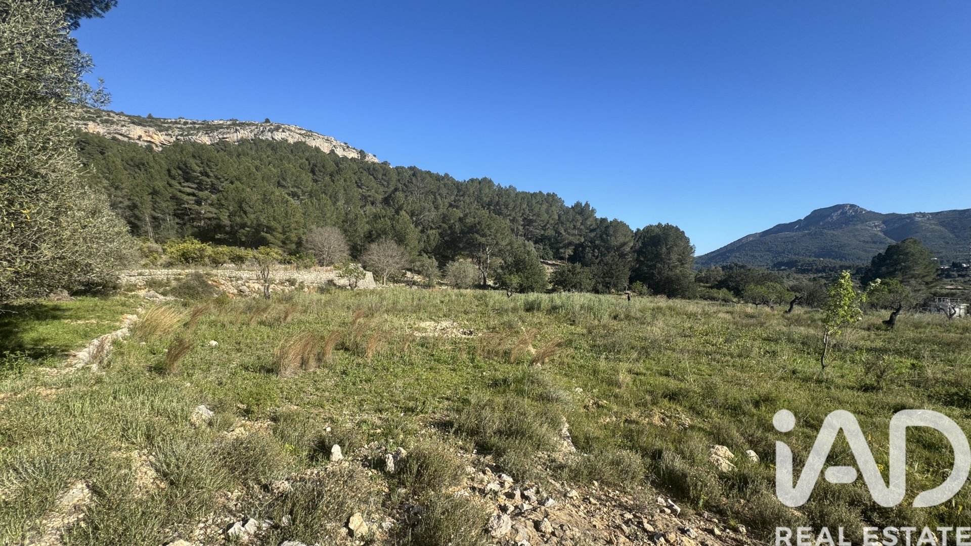 Land in Murla, Alicante, Spanien 12510 m2 Nr. 185509