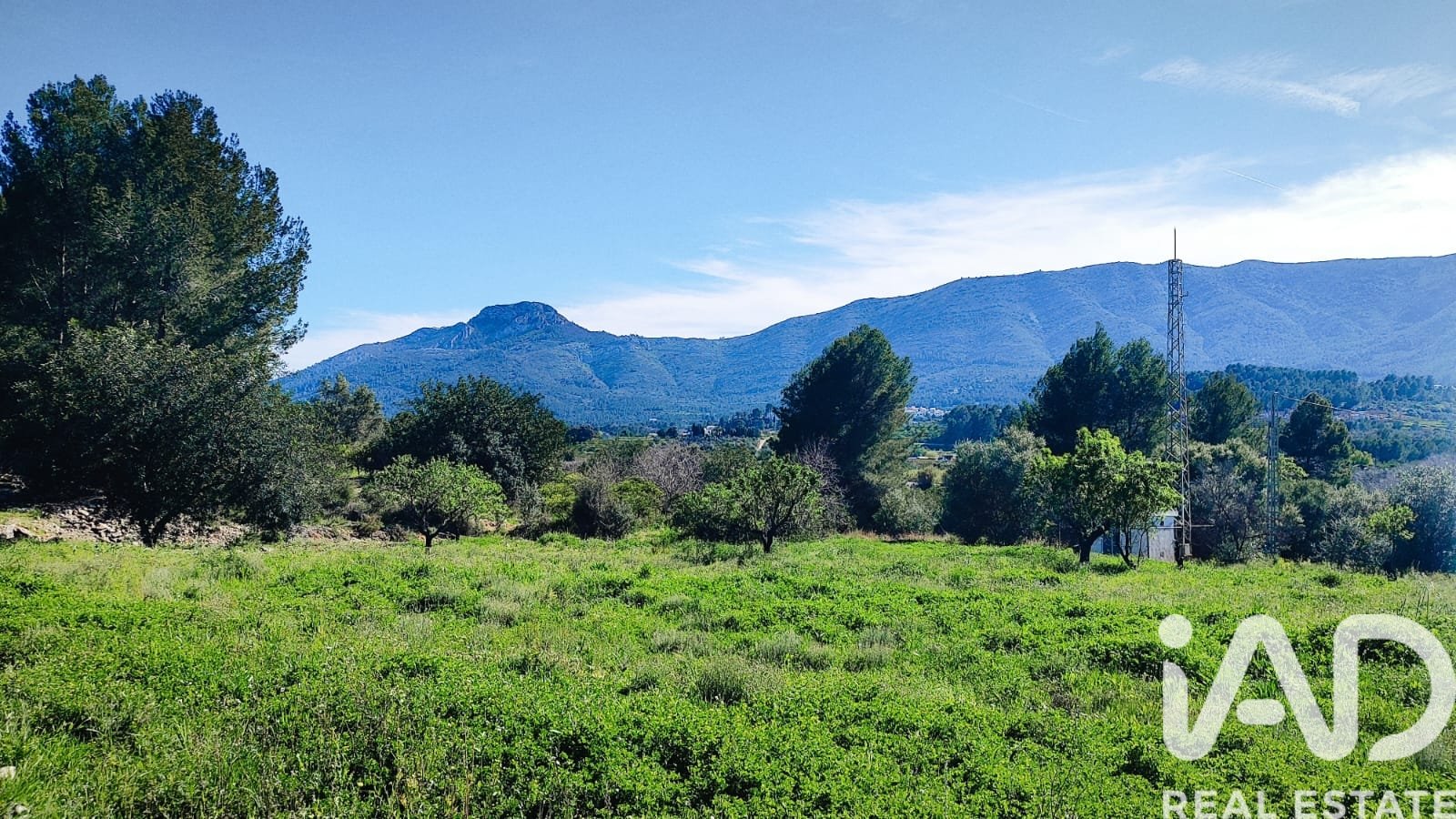 Land in Murla, Alicante, Spanien 12510 m2 Nr. 185509