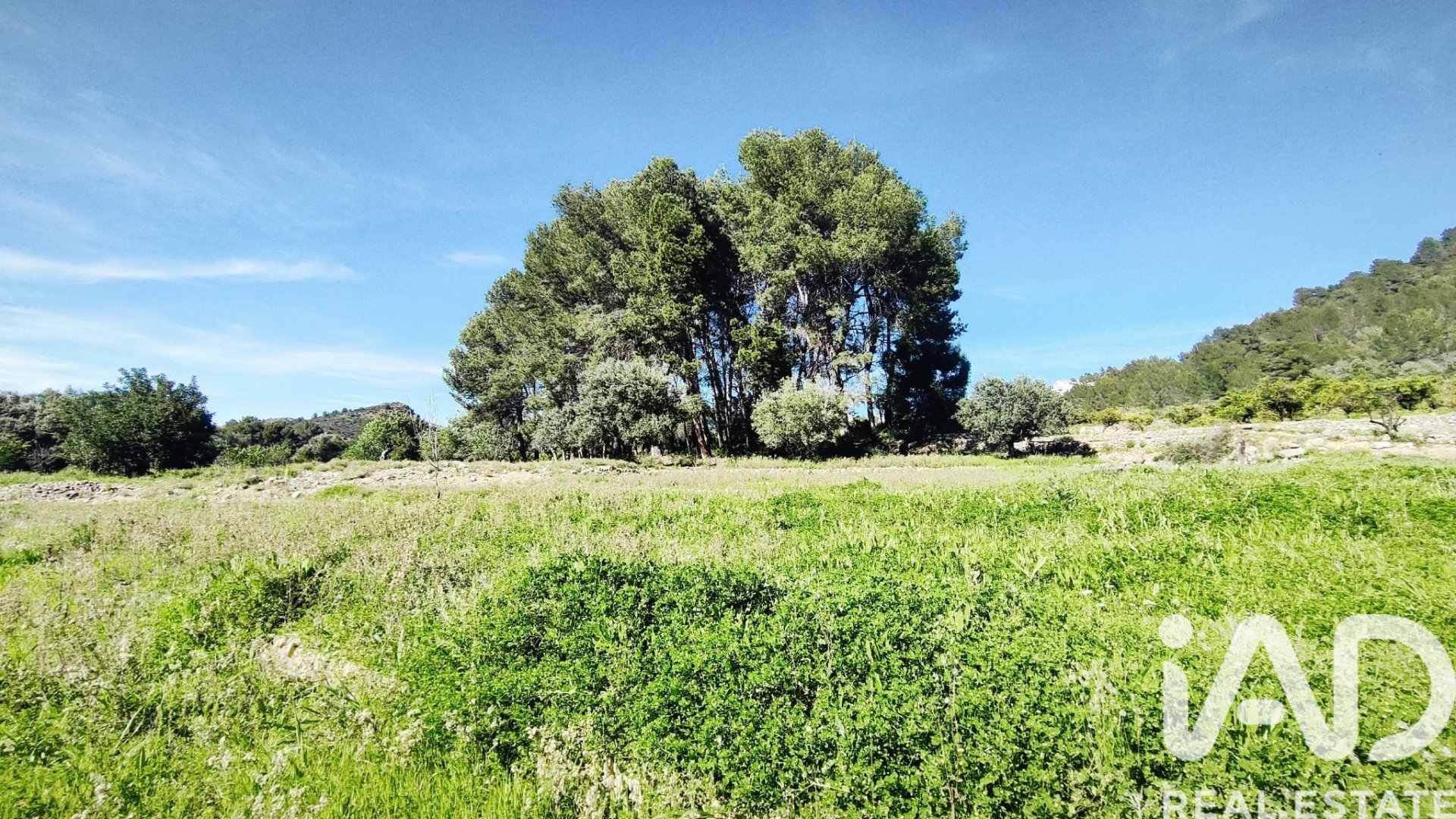 Land in Murla, Alicante, Spanien 12510 m2 Nr. 185509
